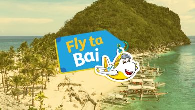 Fly Ta Bai Cebu Pacific 17 New Routes 2024 HERO