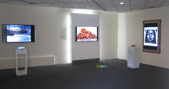 Samsung digital gallery.jpg