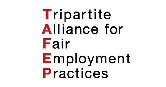 tafep-newspage.jpg