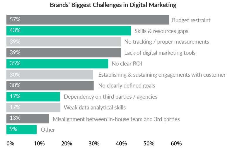 Brands' Biggest Challenges in Digital Marketing chart