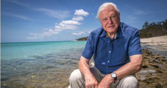 david_attenborough_at_great_barrier_reef_563.jpg