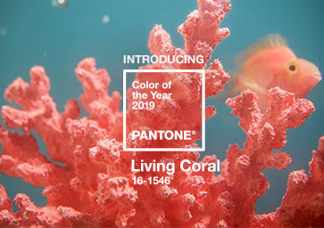 pantone-color-of-the-year-2019-living-coral-press-release.jpg