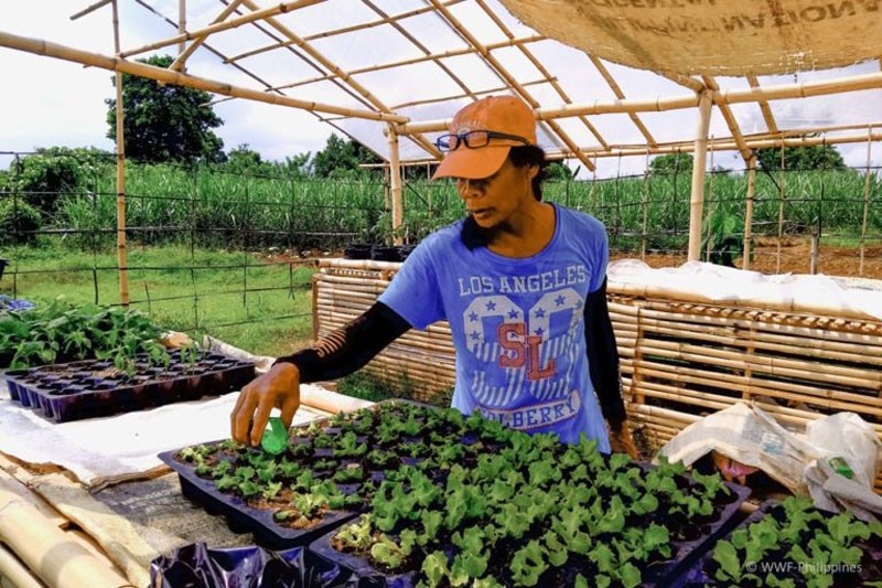 https://www.adobomagazine.com/wp-content/uploads/2021/03/WWF-Philippines-BPI-Foundation-Team-Up-to-Build-Food-Sheds-Across-the-Philippines-INSERT3.jpg