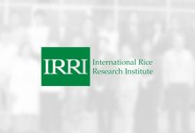 Japan and IRRI kick off rice carbon neutrality project in the ASEAN region HERO