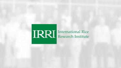 Japan and IRRI kick off rice carbon neutrality project in the ASEAN region HERO