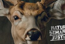 New social campaign gives nature a voice and calls HERO