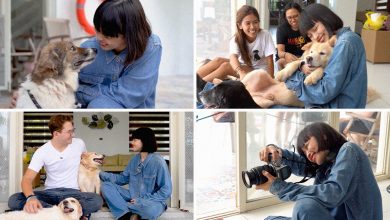 Shaira Luna Dr Shiba partners with Pawssion Project hero