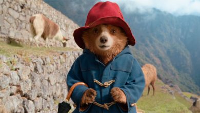 Adventure awaits as Paddington sets off to the Amazon rainforest in Paddington in Peru Trailer out now HERO